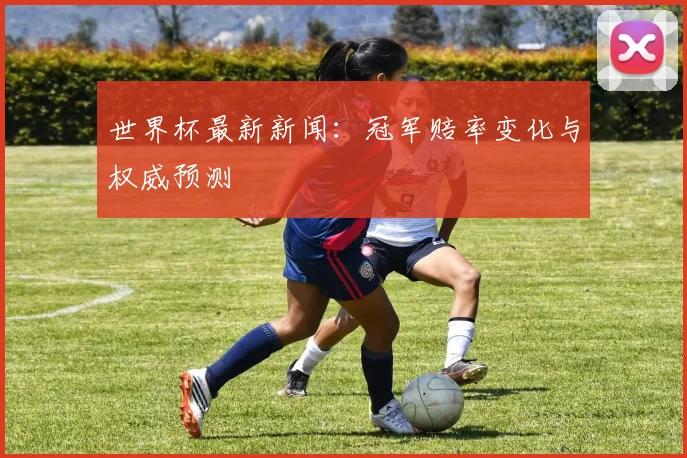 世界杯最新新闻:冠军赔率变化与权威预测